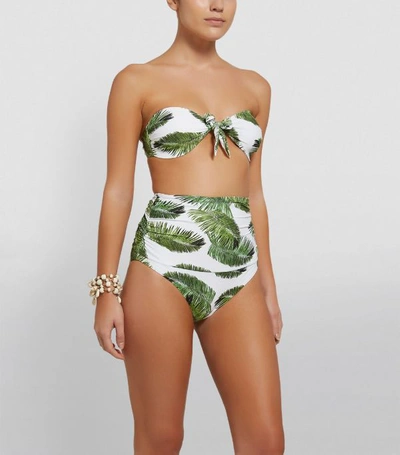 Shop Melissa Odabash Caribe Palm Tree Bandeau Bikini Top