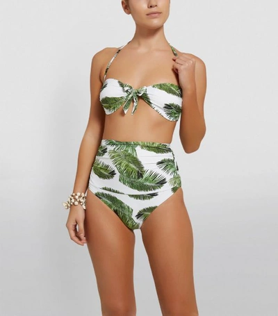 Shop Melissa Odabash Caribe Palm Tree Bandeau Bikini Top