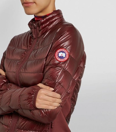 Shop Canada Goose Hybridge Lite Jacket