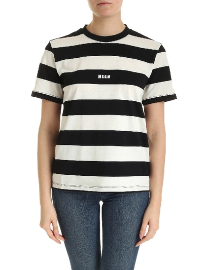Shop Msgm Black T-shirt With White Stripes