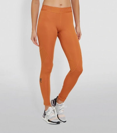 Shop Adidas Originals Adidas Alphaskin Sport Leggings