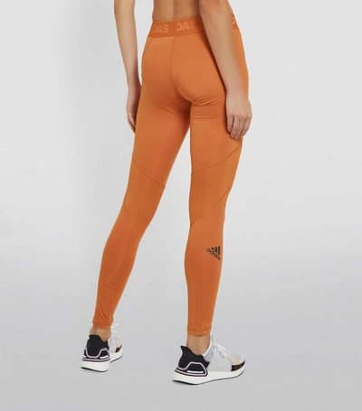 Shop Adidas Originals Adidas Alphaskin Sport Leggings