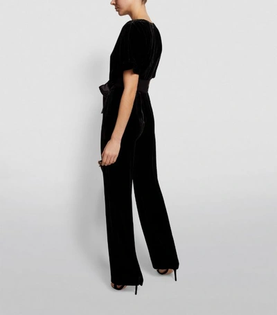 Shop Alice And Olivia Velvet Breanna Belted Jumpsuit