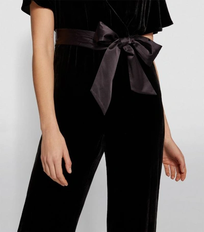 Shop Alice And Olivia Velvet Breanna Belted Jumpsuit