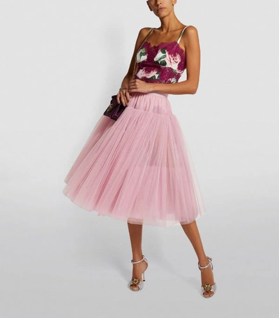 Shop Dolce & Gabbana Layered Tulle Skirt