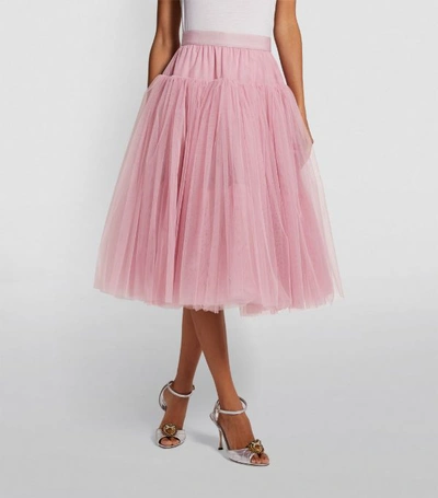 Shop Dolce & Gabbana Layered Tulle Skirt