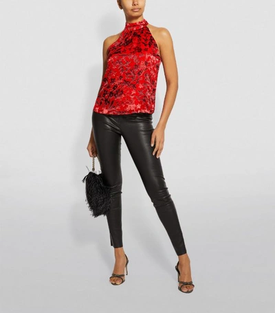 Shop Alice And Olivia Ingrid Floral Appliqué Sleeveless Top