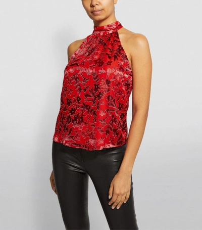 Shop Alice And Olivia Ingrid Floral Appliqué Sleeveless Top