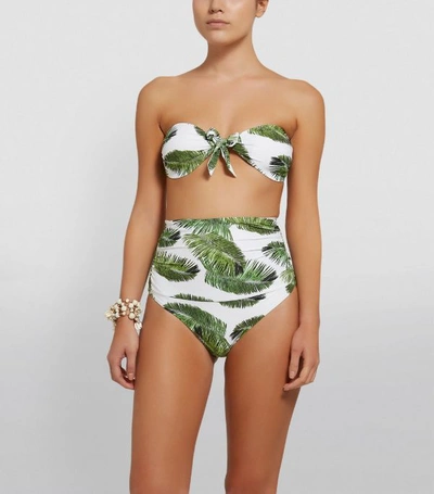 Shop Melissa Odabash Caribe High-waist Palm Tree Bikini Bottoms
