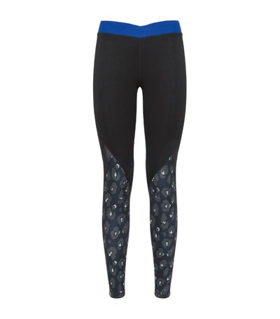 Shop Adidas Originals Adidas Leopard Print Leggings