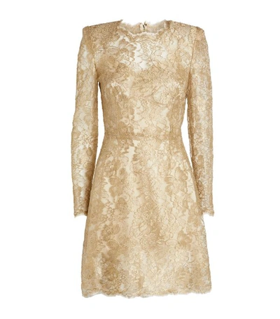 Shop Dolce & Gabbana Lace Mini Dress