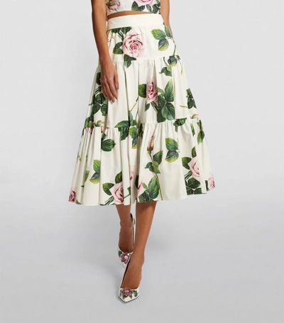 Shop Dolce & Gabbana Tropical Rose Print Skirt
