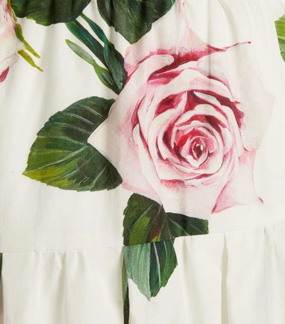 Shop Dolce & Gabbana Tropical Rose Print Skirt