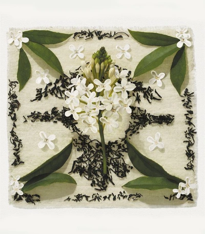 Shop Alexander Mcqueen Mcqueen Collection: Sacred Osmanthus Eau De Parfum (75ml) In White