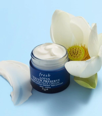 Shop Fresh Lotus Youth Preserve Dream Face Cream (50ml) In White