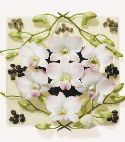 Shop Alexander Mcqueen Mcqueen Collection: Luminous Orchid Eau De Parfum (75ml) In White