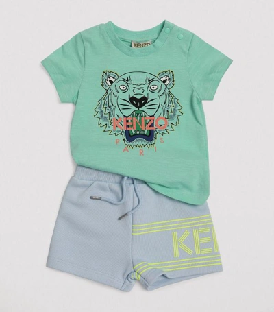 Shop Kenzo Icon Tiger T-shirt