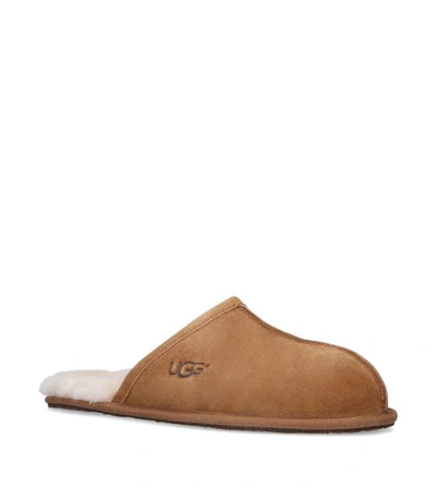 Shop Ugg Suede Scuff Slippers In Brown