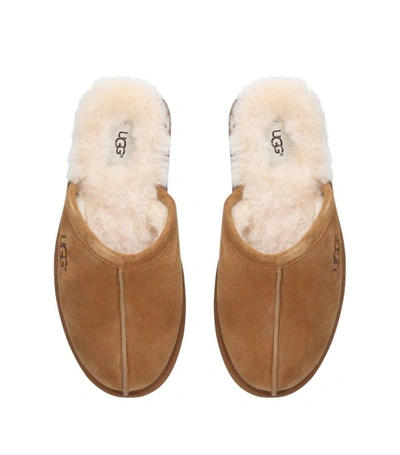 Shop Ugg Suede Scuff Slippers In Brown