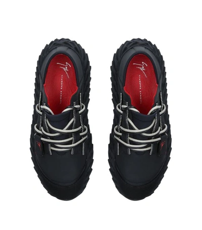 Shop Giuseppe Zanotti Urchin Sneakers