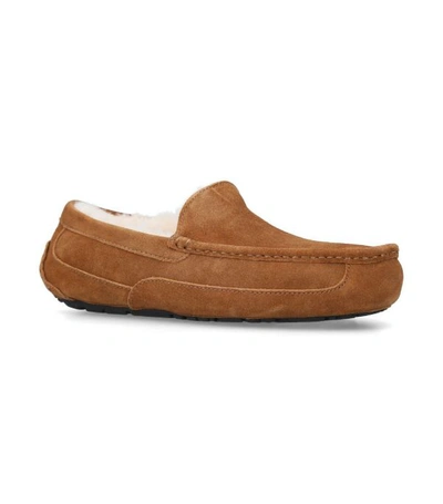 Shop Ugg Suede Ascot Slippers In Brown