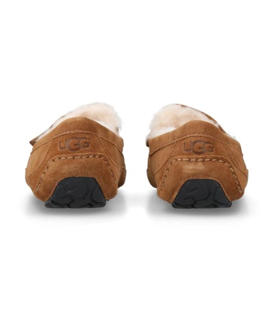 Shop Ugg Suede Ascot Slippers In Brown