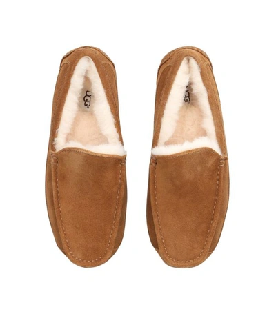 Shop Ugg Suede Ascot Slippers In Brown
