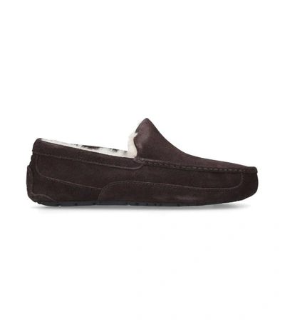 Shop Ugg Suede Ascot Slippers In Brown