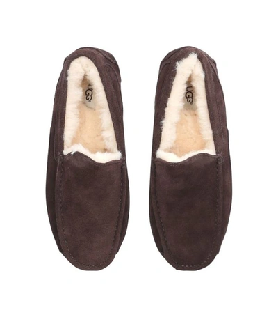 Shop Ugg Suede Ascot Slippers In Brown