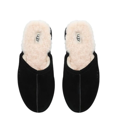 Shop Ugg Scuff Suede Slippers In Black