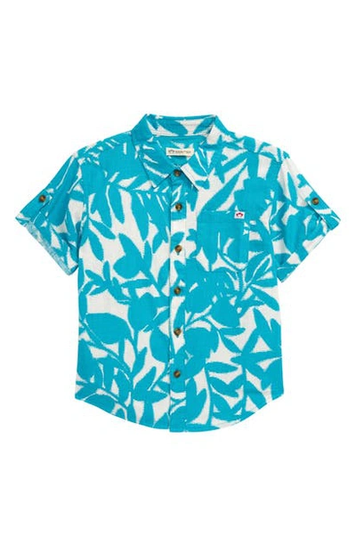 Shop Appaman Print Button-up Shirt In Teal Plumeria