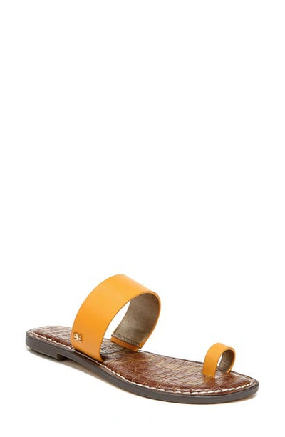 Shop Sam Edelman Gorgene Slide Sandal In Golden Rod Leather