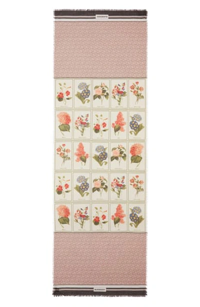 Shop Burberry Monogram & Botanical Print Silk & Wool Scarf In Pale Copper Pink