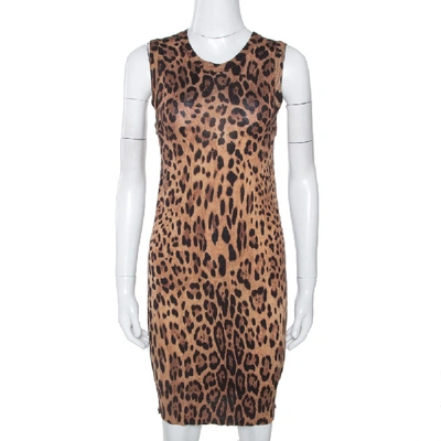 Pre-owned Dolce & Gabbana Brown Leopard Print Knit Fitted Dress S