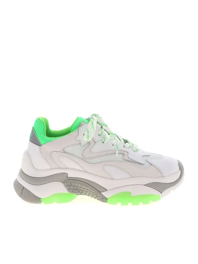 Shop Ash Addict Sneakers In White And Green