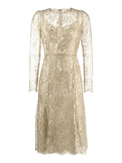 Shop Dolce & Gabbana Chantilly Lace Laminated Dress In Gold