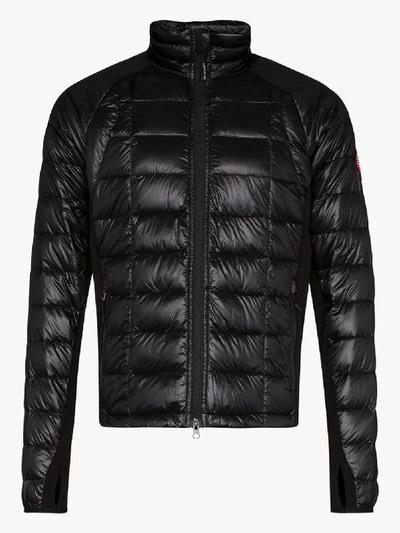 Shop Canada Goose Hybridge Lite Puffer Jacket In Black