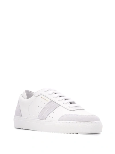 Shop Axel Arigato Dunk Low Top Sneakers In White