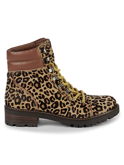 Shop Sam Edelman Tamia Leopard Calf-hair Combat Boots In Beige