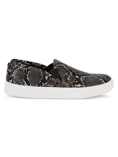 Shop Steve Madden Gasha Snakeskin-embossed Slip-on Sneakers In Grey Snake