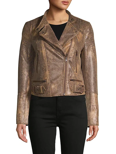 Shop Free People Snake-embossed Faux Leather Moto Jacket In Brown