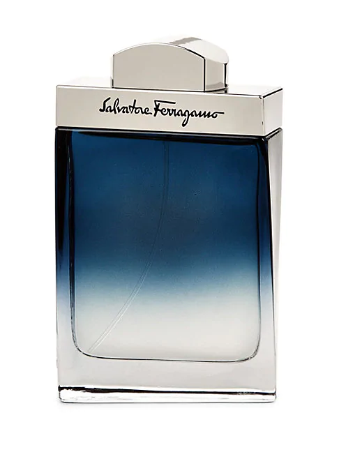 ferragamo subtil pour homme