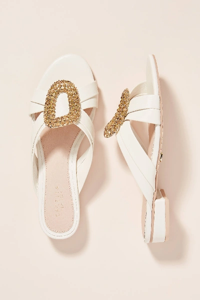 Shop Cecelia New York Paradise Sandals In White