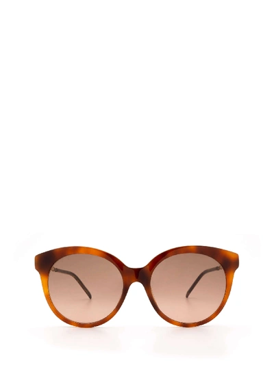 Shop Gucci Gg0653s Havana Sunglasses In 2