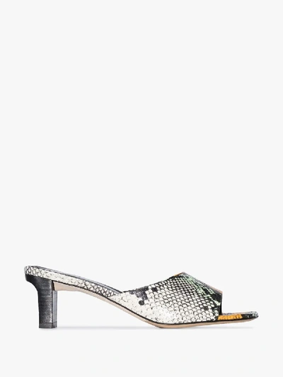 Shop Aeyde Multicoloured Katti 55 Snake Print Leather Mules In Black