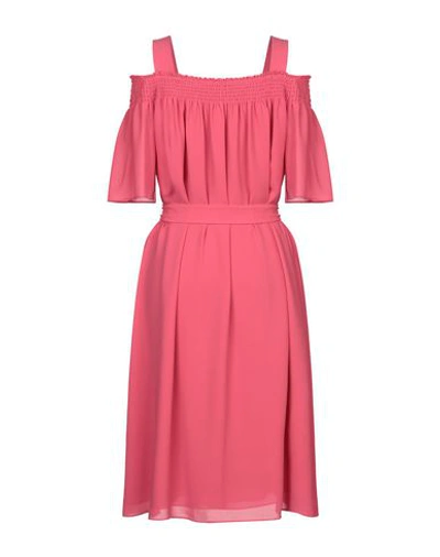 Shop Hugo Boss Knee-length Dresses In Pink