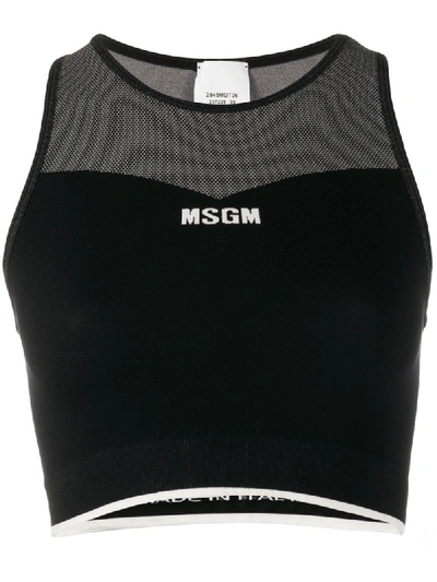 Shop Msgm Logo-print Sports Bra In Black