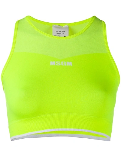 Shop Msgm Logo-print Sports Bra In Yellow