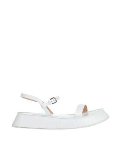 Shop Jil Sander Sandals In White