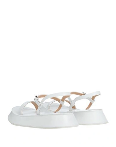 Shop Jil Sander Sandals In White